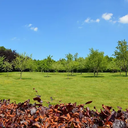 Holiday home Cozy Holiday Home In Bertogne With Ponds Nearby *