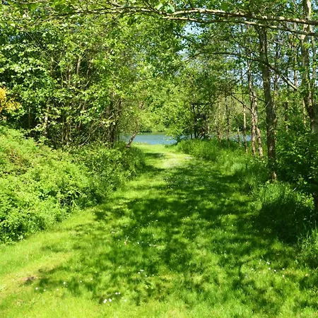 Cozy Holiday Home In Bertogne With Ponds Nearby Holiday home *